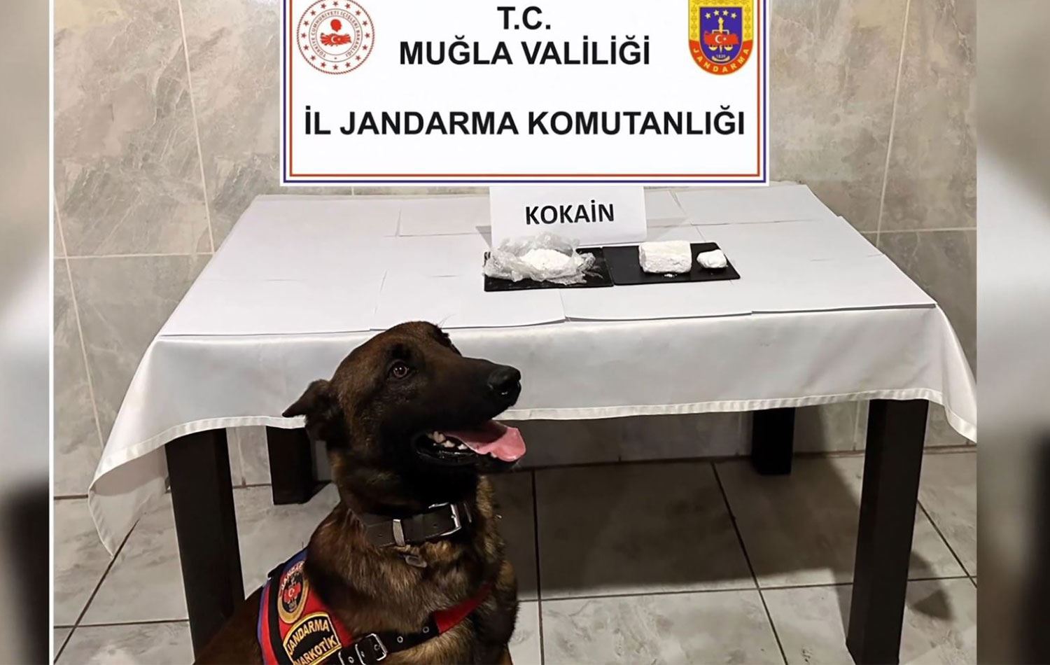 Foto: Video alıntısı / Sosyal medya