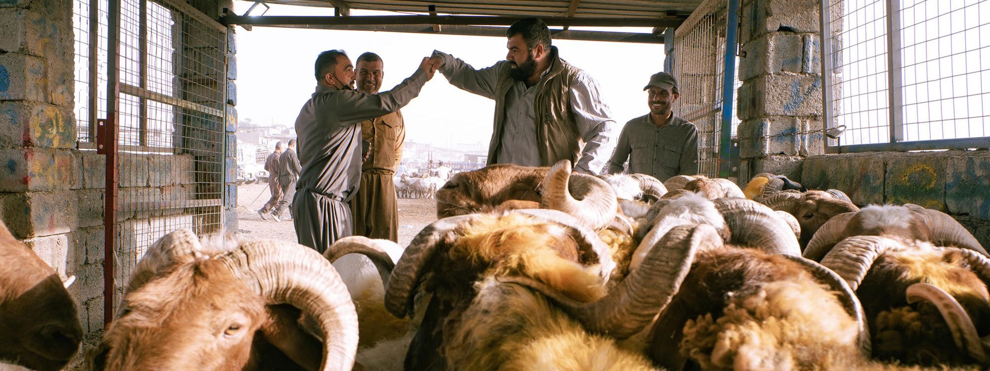 وێنە؛ بازاڕی قوربانی لە هەولێر ساردوسڕە