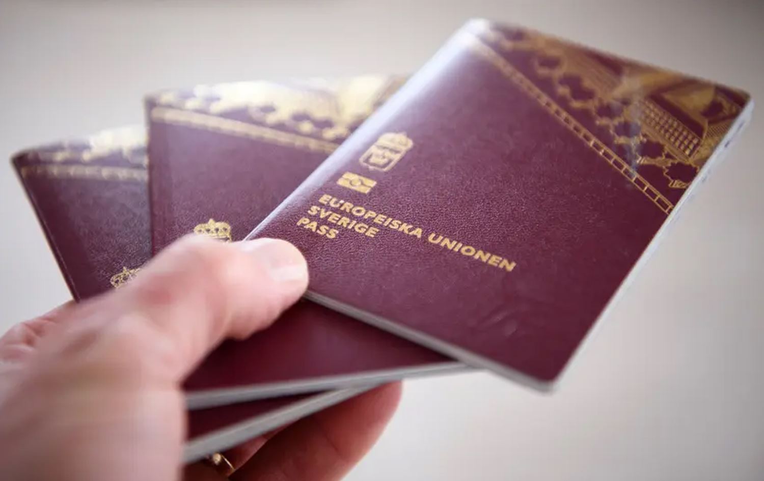 Pasaporta Swêdê /Wêne: TT