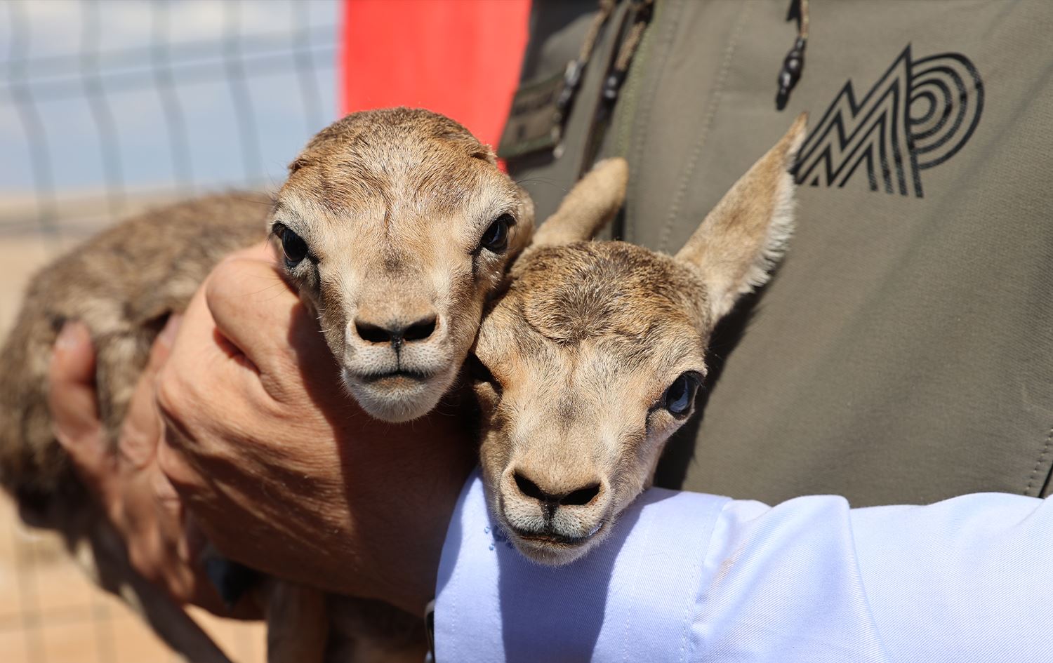 Karikên xezalan / Wêne: AA