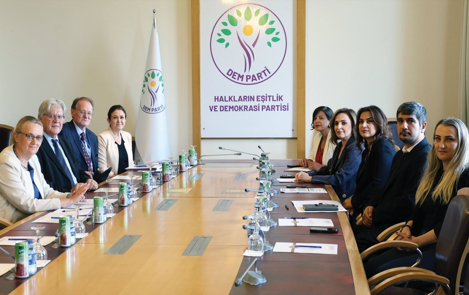 Civîna Raportorên Konseya Ewropayê û DEM Partiyê / Wêne: DEM Partî