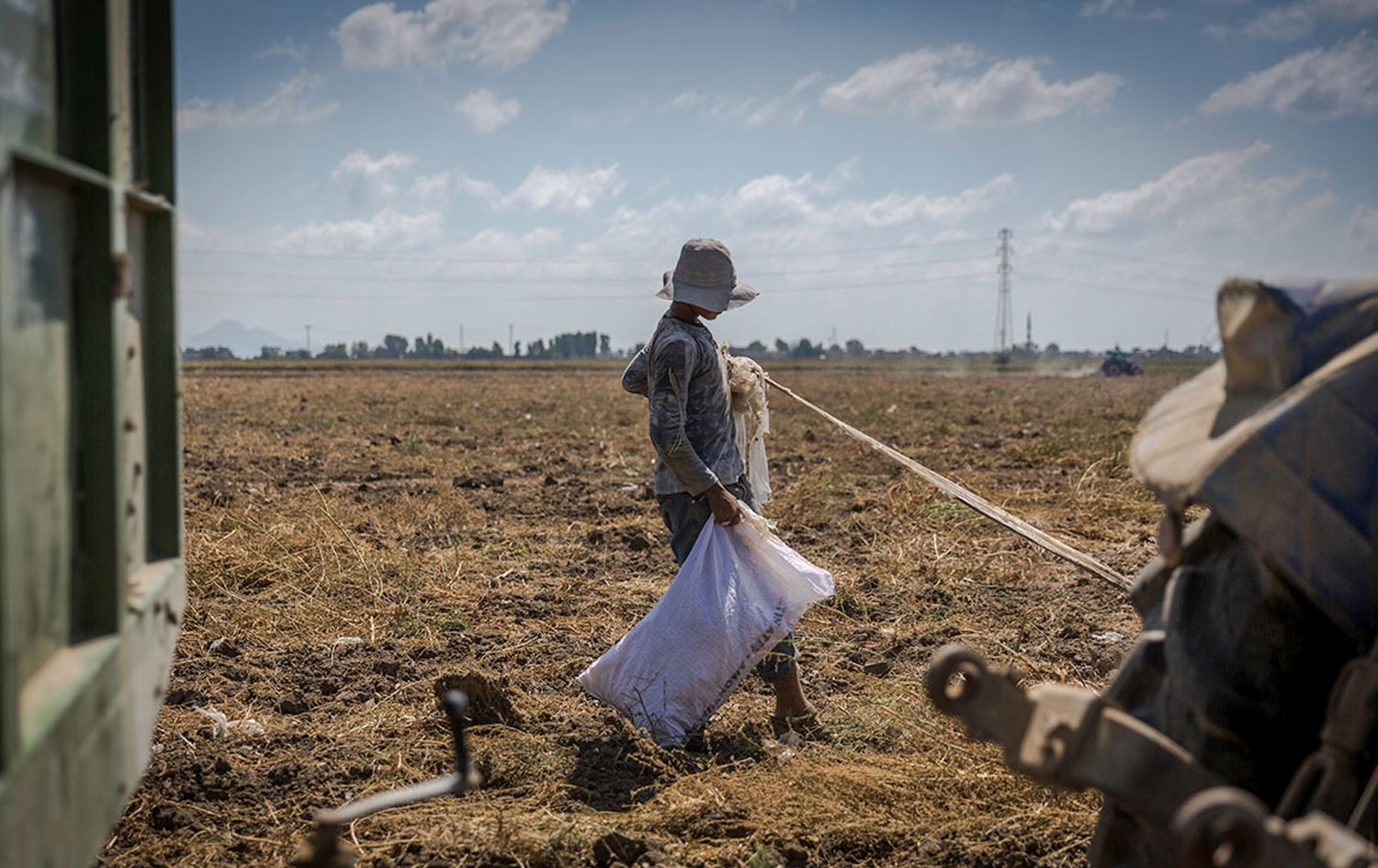 Zarorekekî karker li Edeneyê / Wêne: Kerem Yucel (Arşîv)