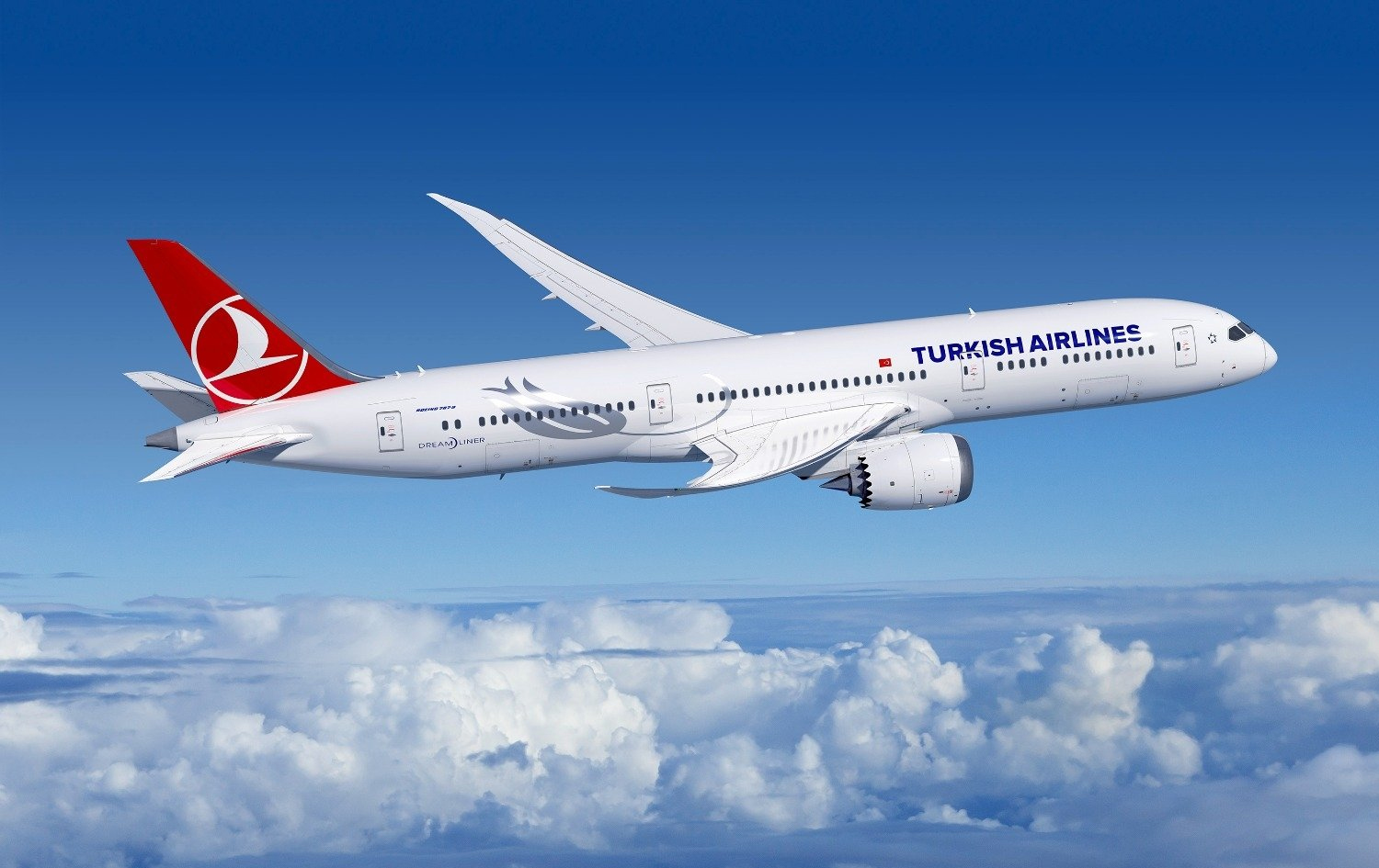 فڕۆکەیەکی تورکیش ئێرلاینز. 