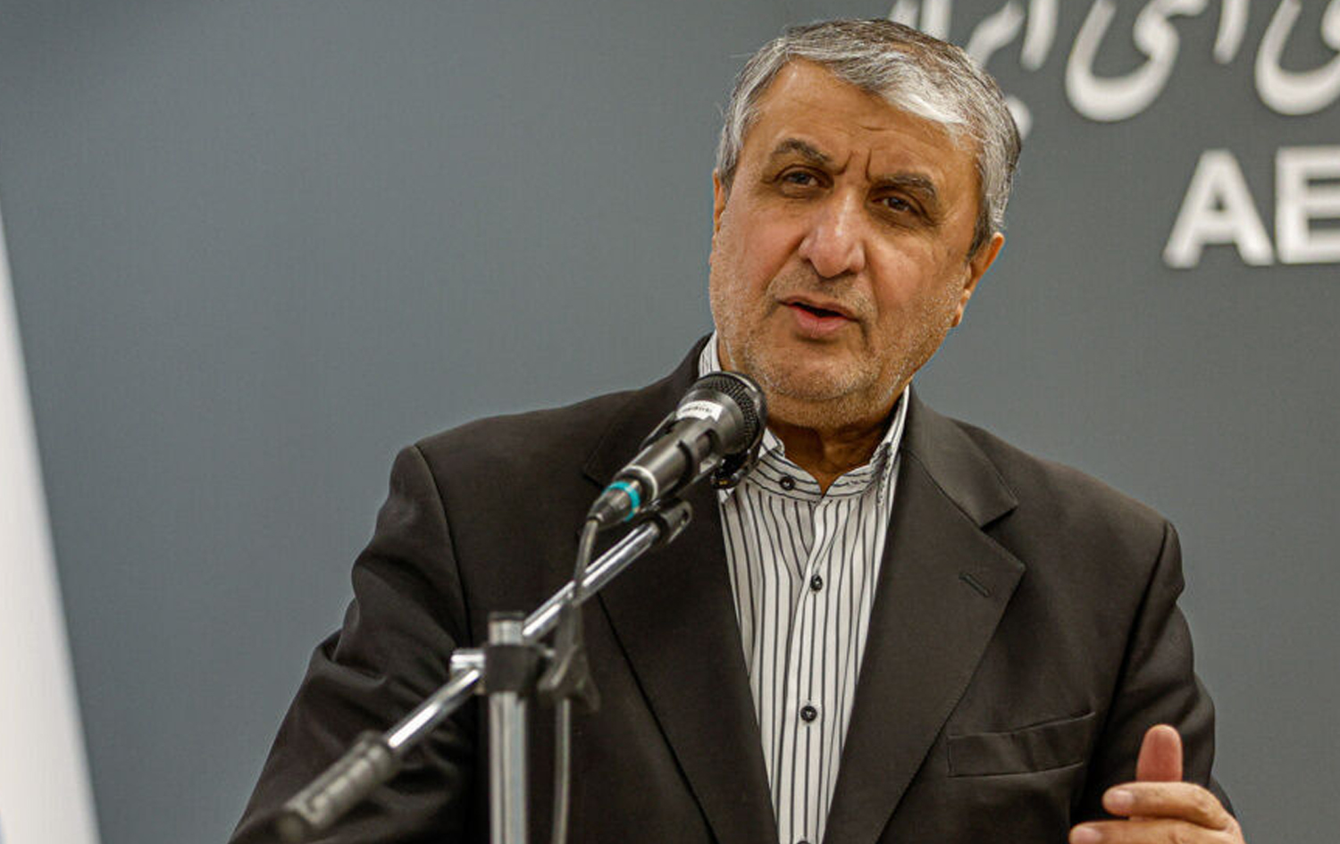 Iran’s nuclear chief Mohammad Eslami. File photo: IRNA