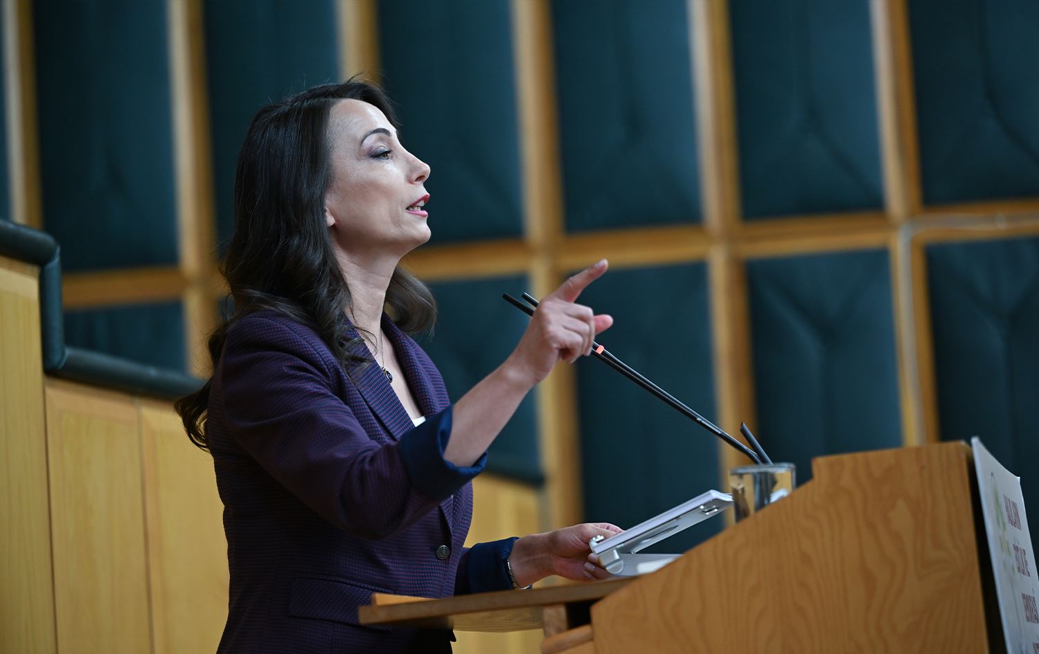 Hevseroka Giştî ya DEM Partiyê Tulay Hatîmogullari / Wêne: AA