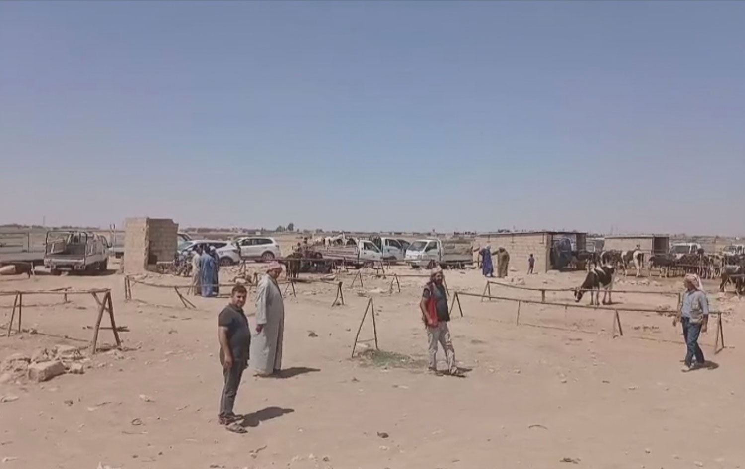 الجفاف وغياب الموسم الزراعي يلحقان أضراراً بتجارة الماشية في روجآفا