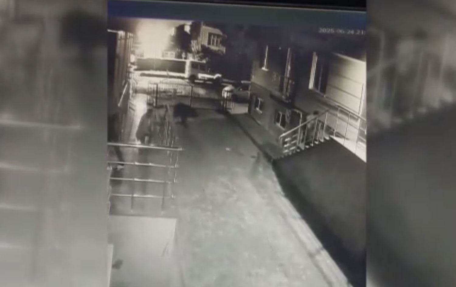 Dema hirç li hewşê ye / Wêne: Ji ber dîmenên AAyê