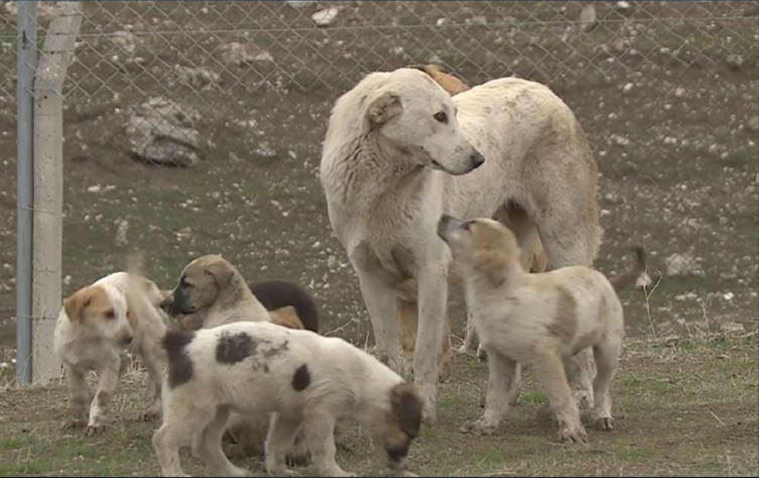 Foto: Rûdaw / Arşiv