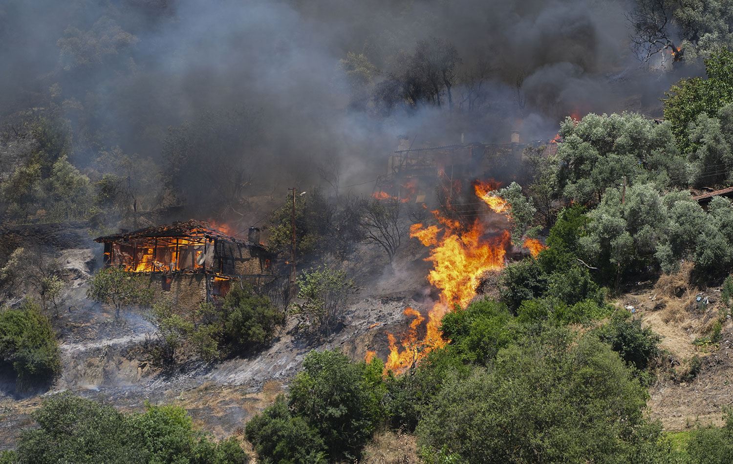 İzmir Ödemiş’teki orman yangınına müdahale sürüyor. Alevler bir köyü sardı./ AA