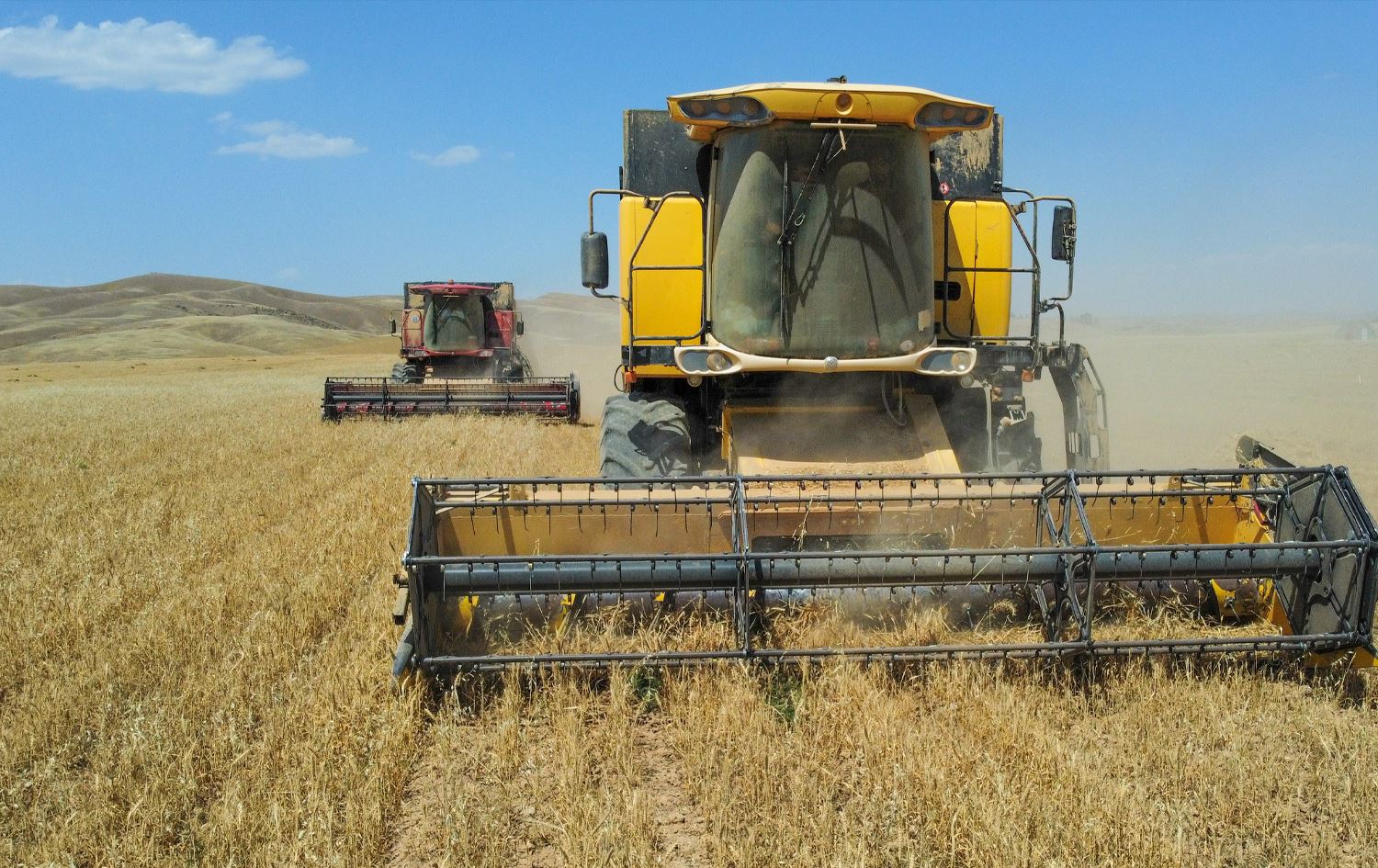 لە چوار مانگدا کەرتی کشتوکاڵ لە عێراق کەمترین وەبەرهێنانی تێدا کراوە