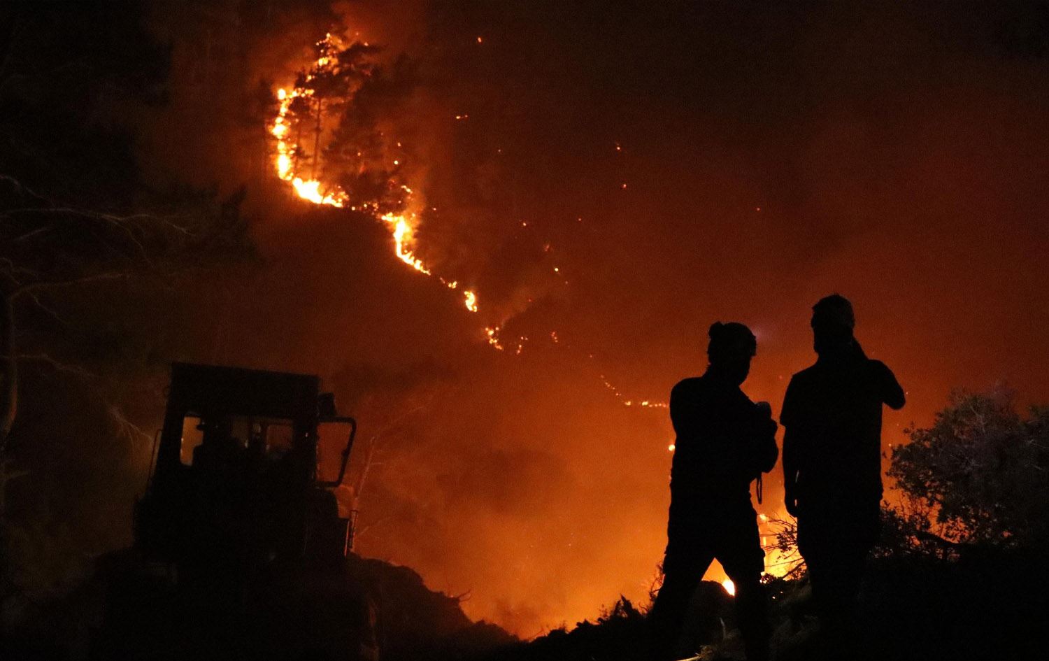 بەهۆی ئاگری دارستانەکانەوە چەند گوندێکی لازقیەی سووریا چۆڵ کران