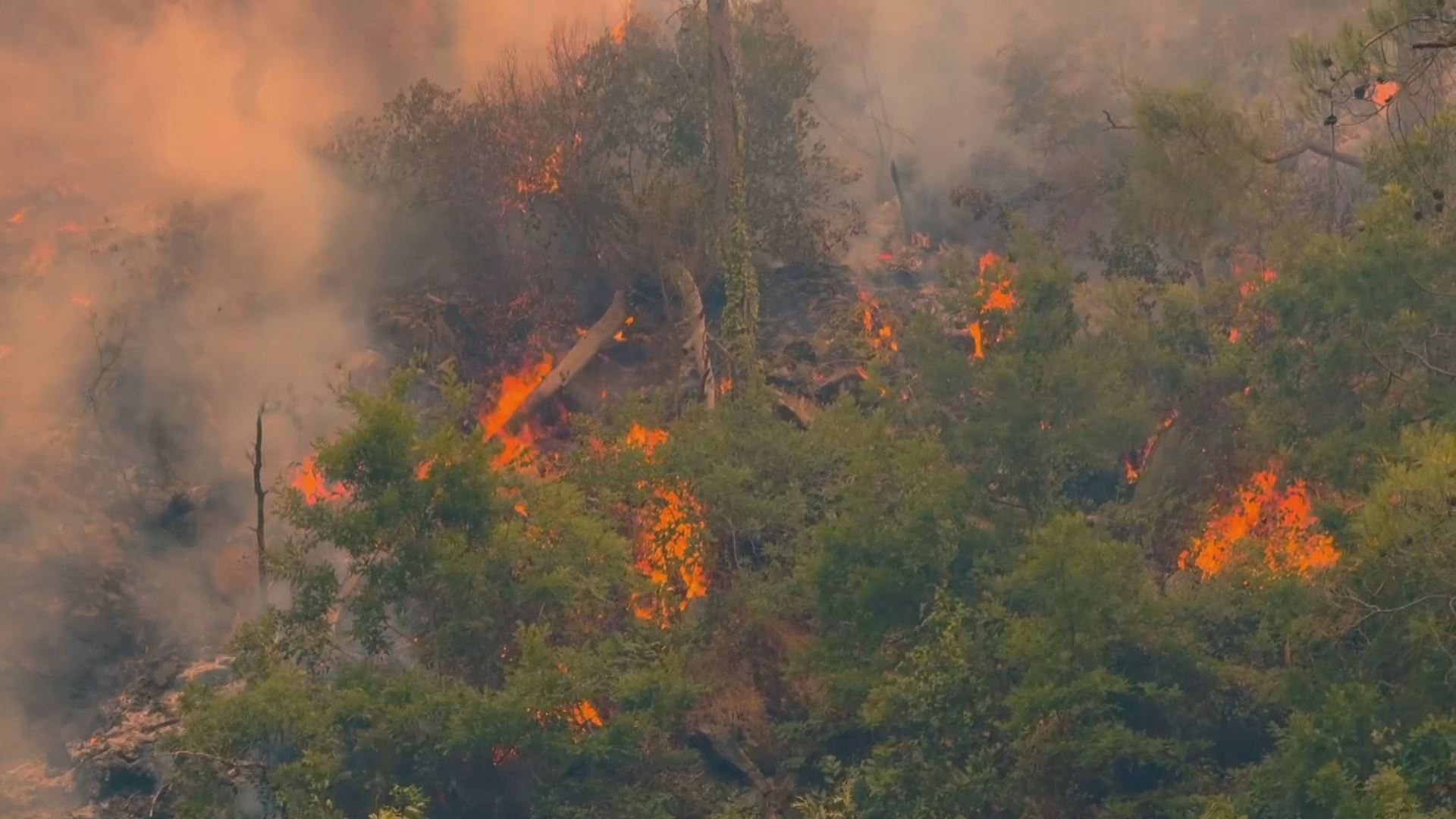 Syria’s Latakia continues battle against devastating wildfires