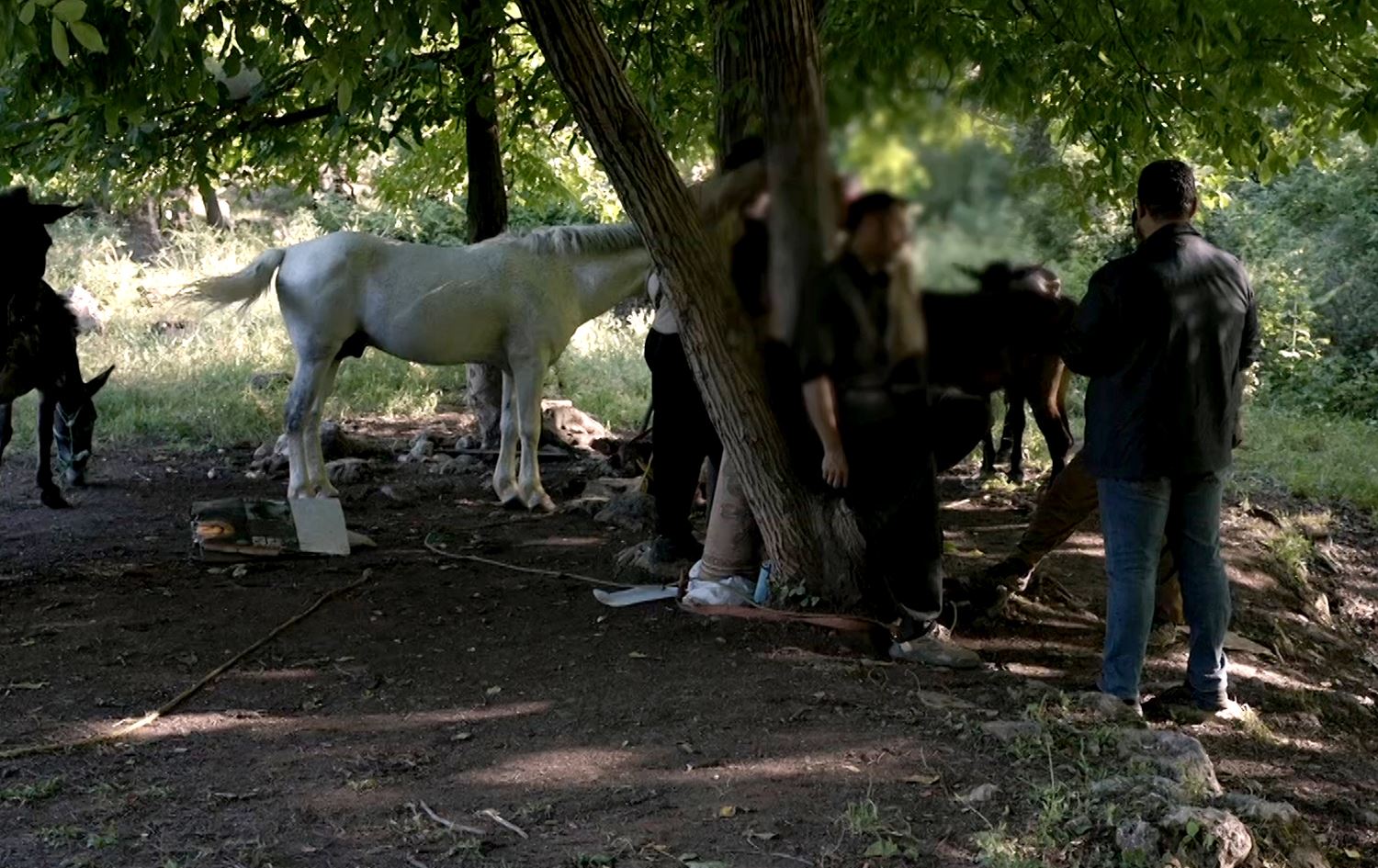 Unfinished Stories: PKK disarmament