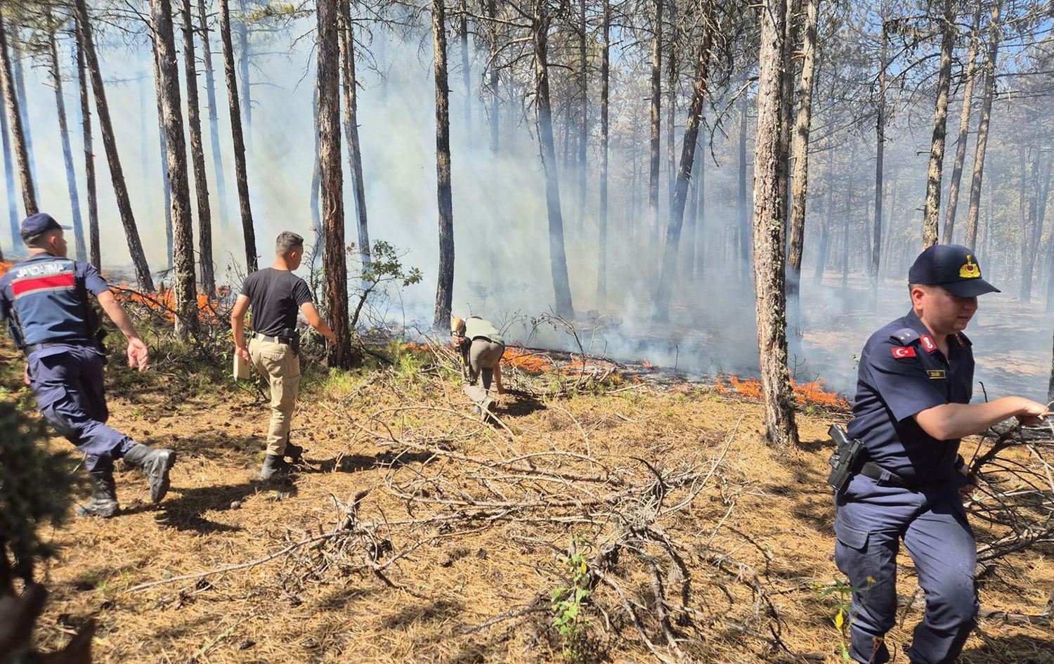 Şewata li daristanên Eskîşehîrê / Wêne: AA