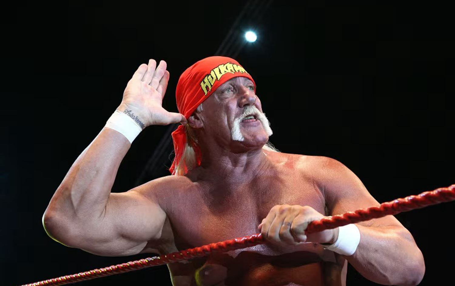 هاڵک هۆگن لە تەمەنی 71 ساڵیدا گیانی لەدەستدا