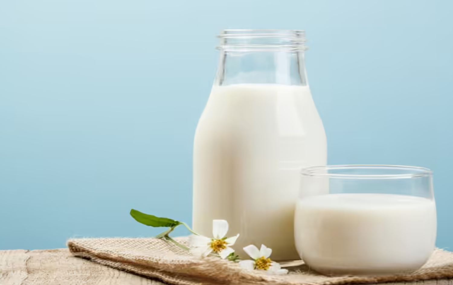 سەندیکای پزیشکانی ڤێتێرنەریی کوردستان: شیری مانگا تەندروستە و دەوڵەمەندە بە کانزاکان