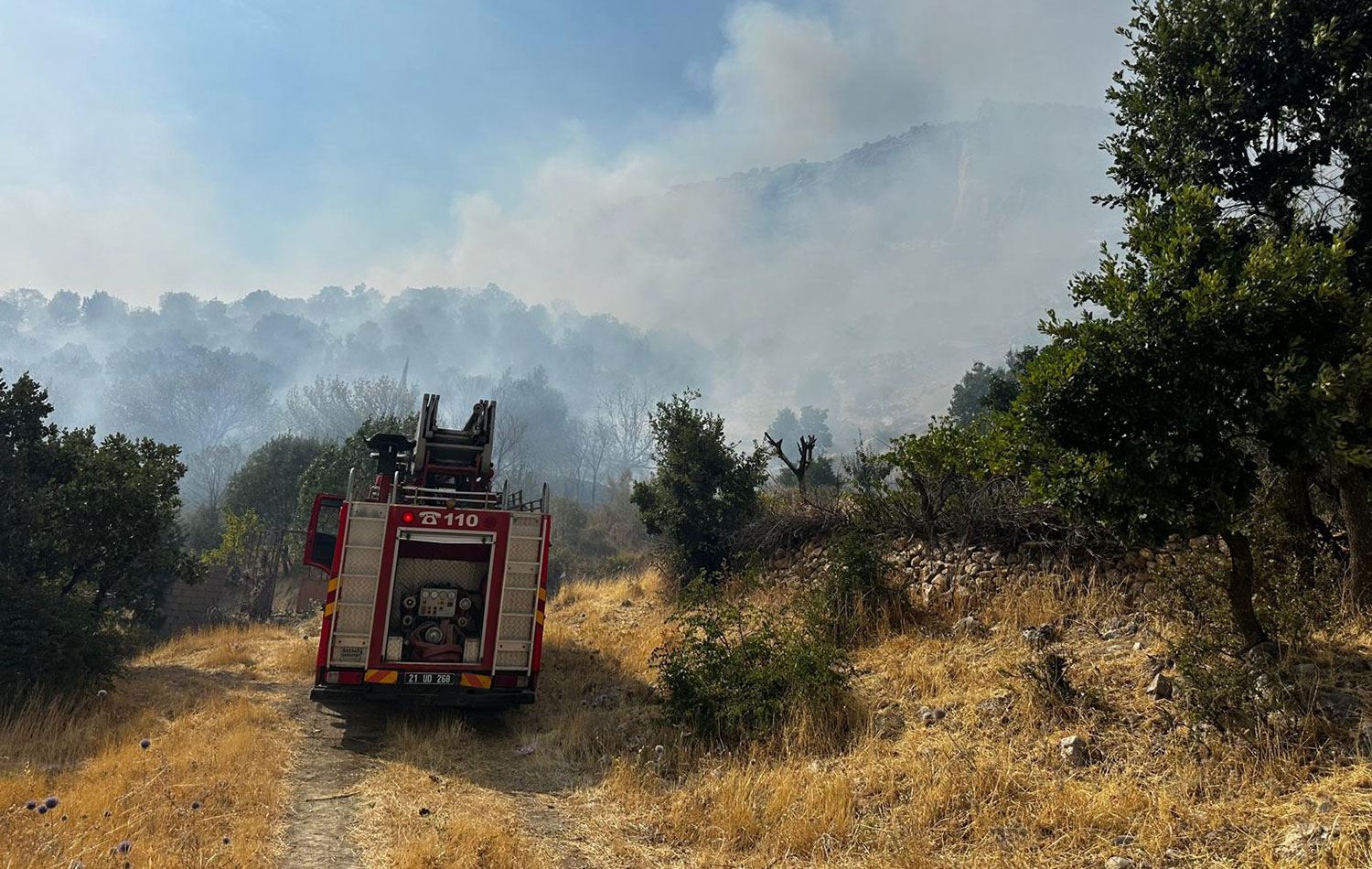Diyarbakır'ın Lice ilçesi kırsalında ormanlık alanda çıkan yangına müdahale ediliyor. / AA