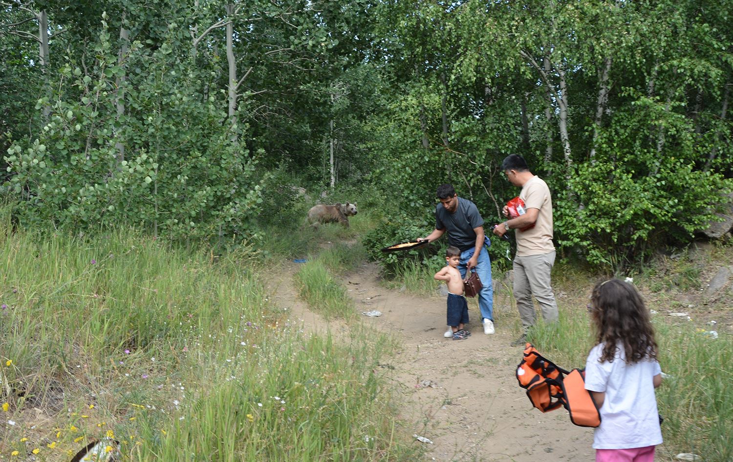 Navçeya Tetwanê / Wêne: AA