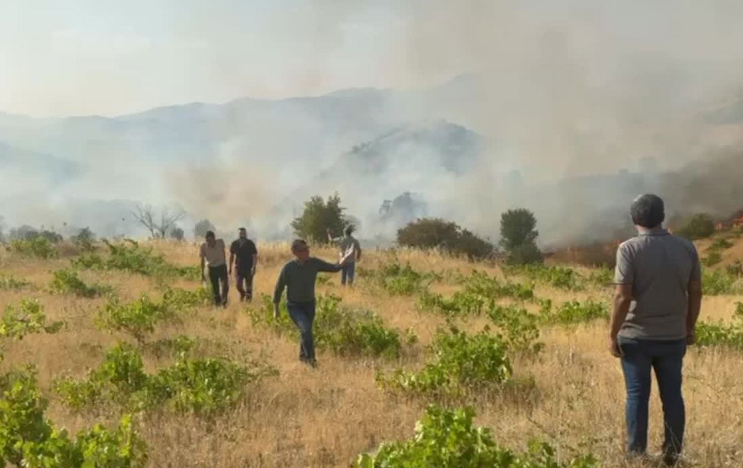 Diyarbakır’da örtü yangını kontrol altına alındı