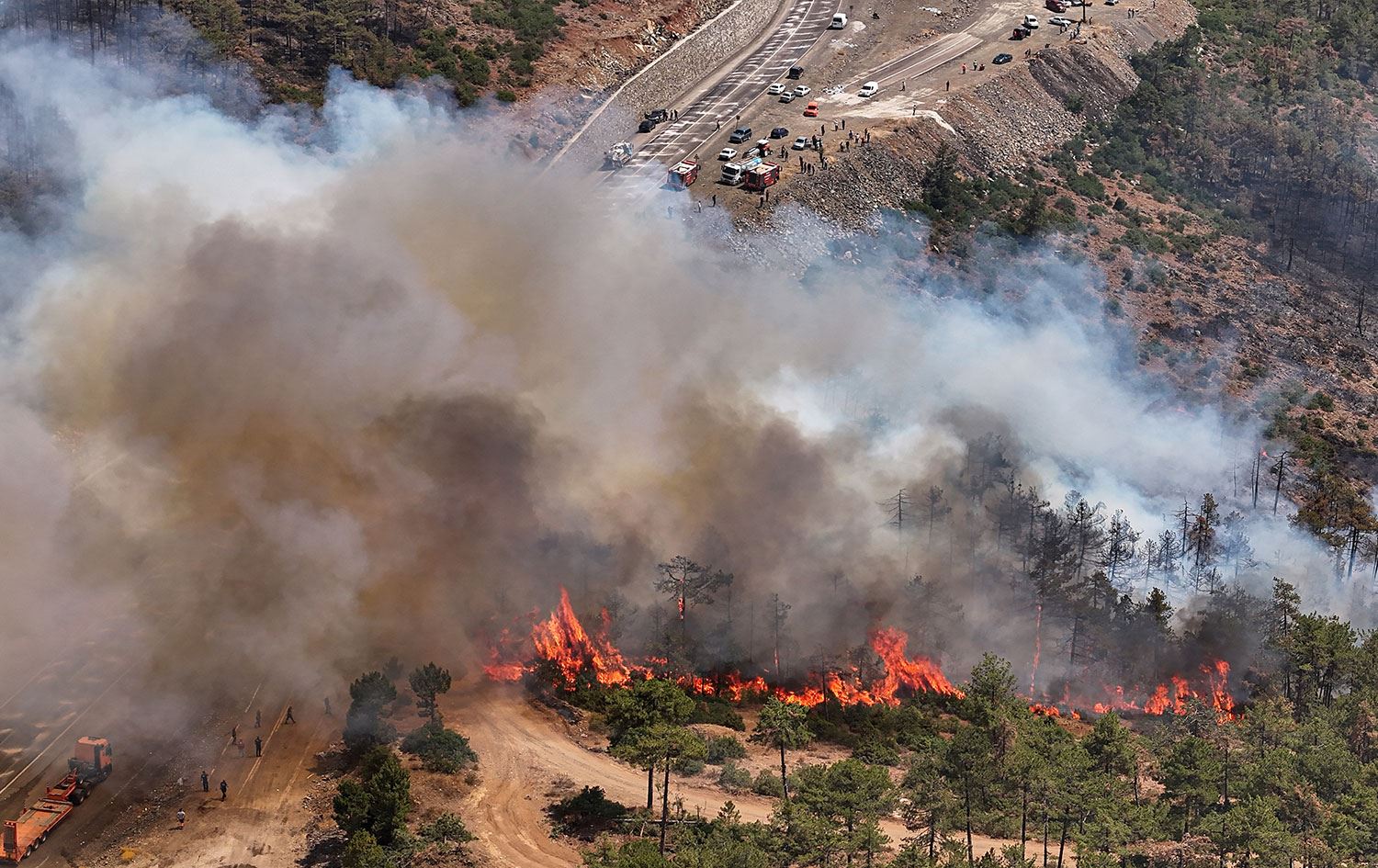 Bursa'daki yangından bir kare / Foto: Rûdaw