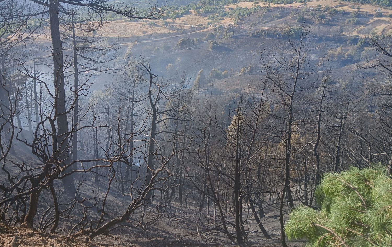 Manisa'nın Gördes ilçesi Salur Mahallesi'nde çıkan orman yangını kontrol altına alındı. Yangında 3 hektarlık orman arazisinin zarar gördüğü öğrenildi. / AA