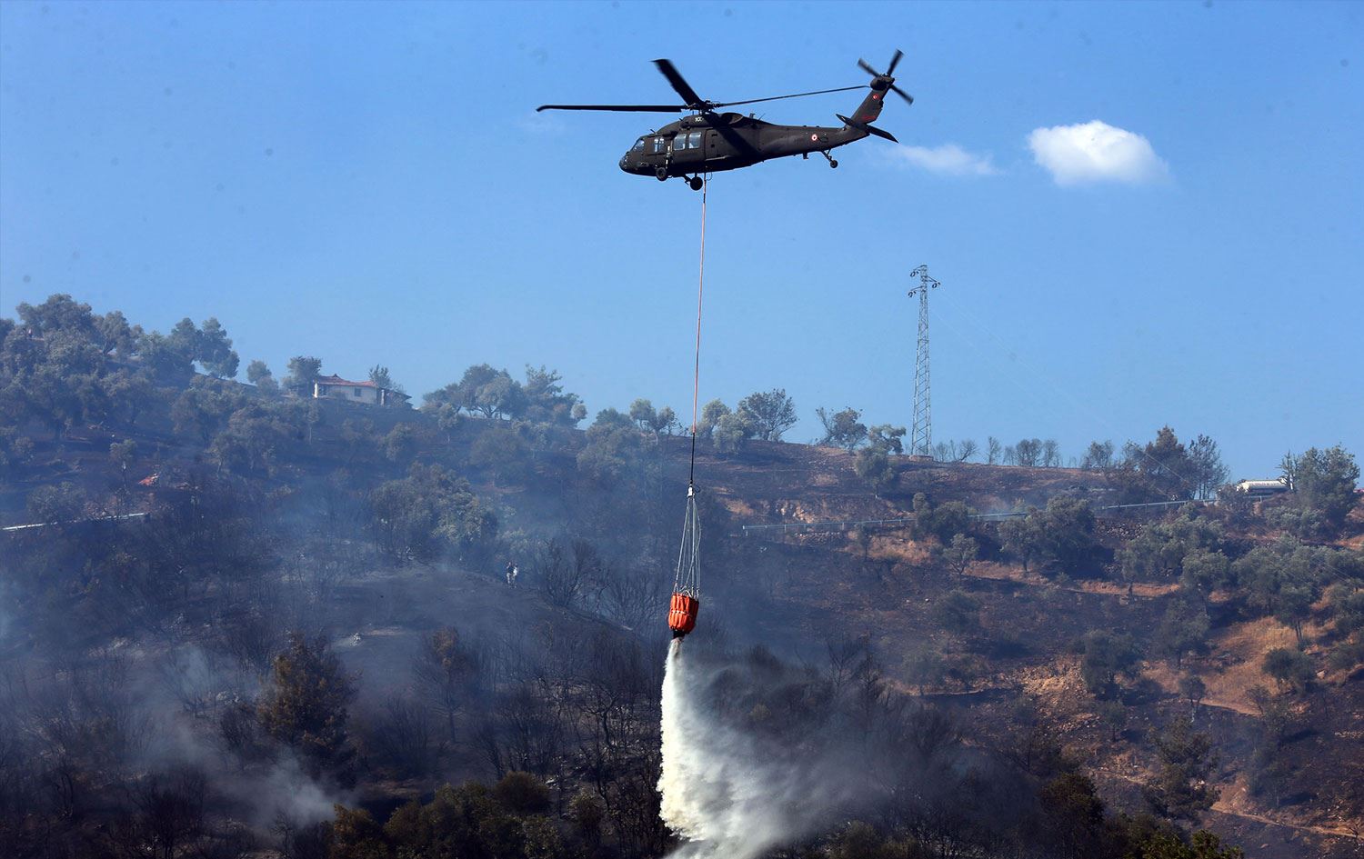 Aydın'ın Efeler ilçesindeki yangın: Foto: AA