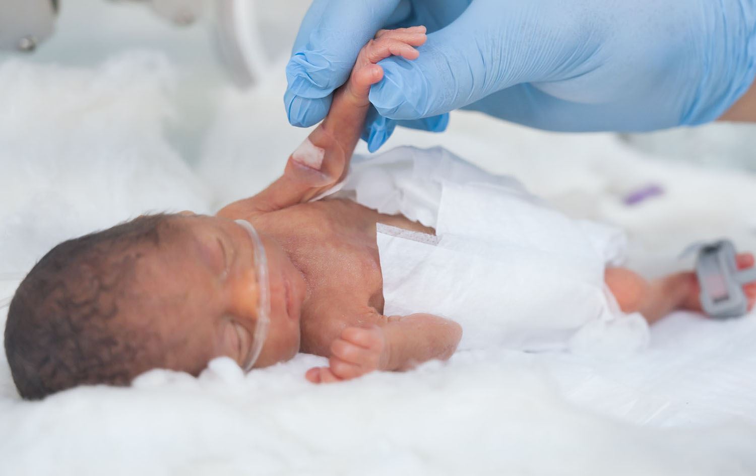 Foto: Arşiv/Blind Tahir Abdullah - Rûdaw