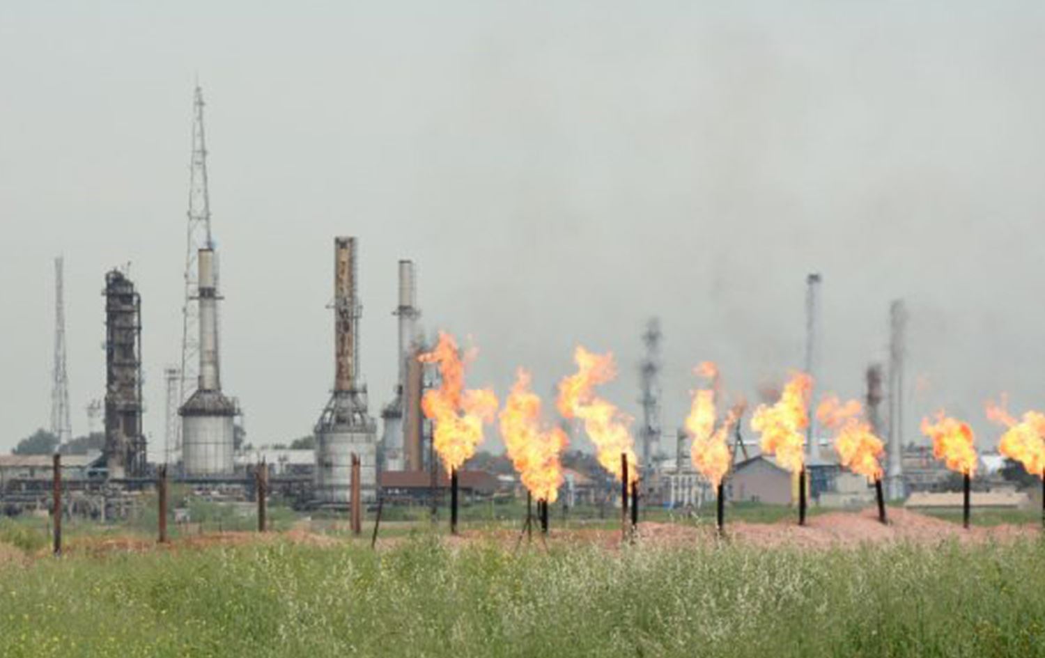 بيئة كركوك لرووداو: وضعنا أفضل من محافظات الجنوب