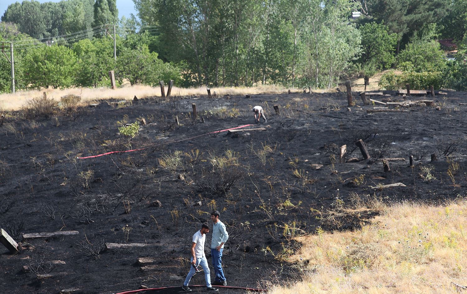 Goristana Xelatê / Wêne: AA