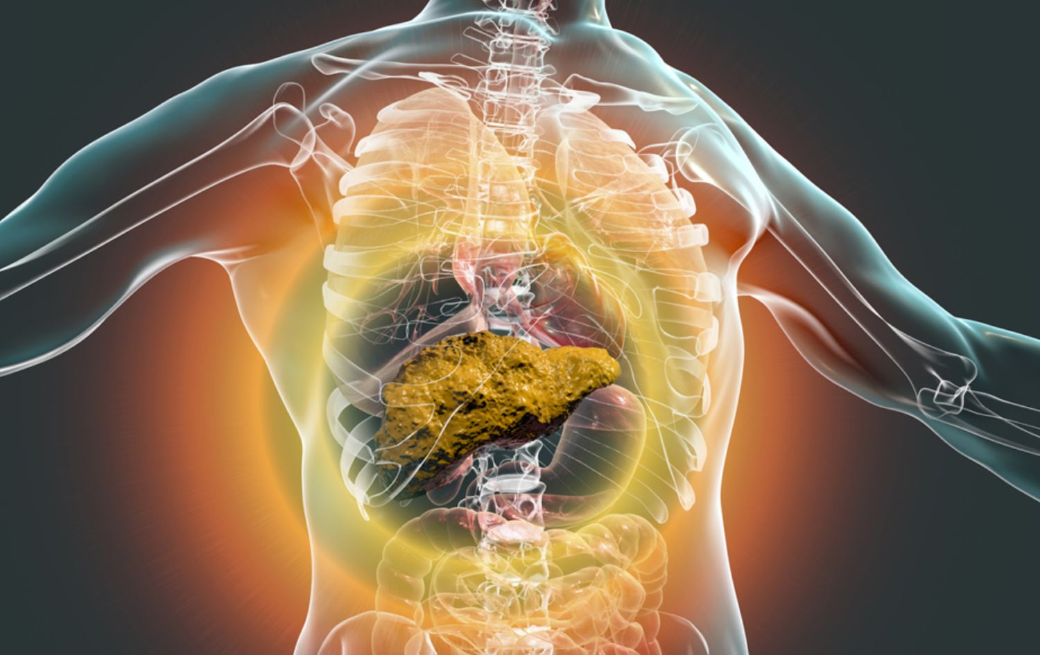 ئاماژەدان بە هەوکردنی جگەر. 