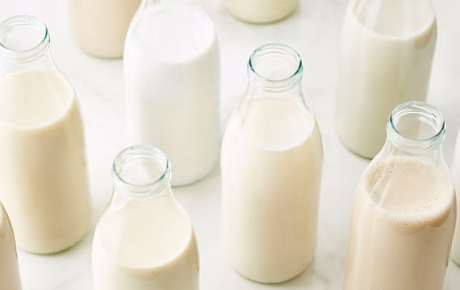 لێکۆڵینەوەیەک: شیری پڕچەور بکەن بە شیری کەمچەور