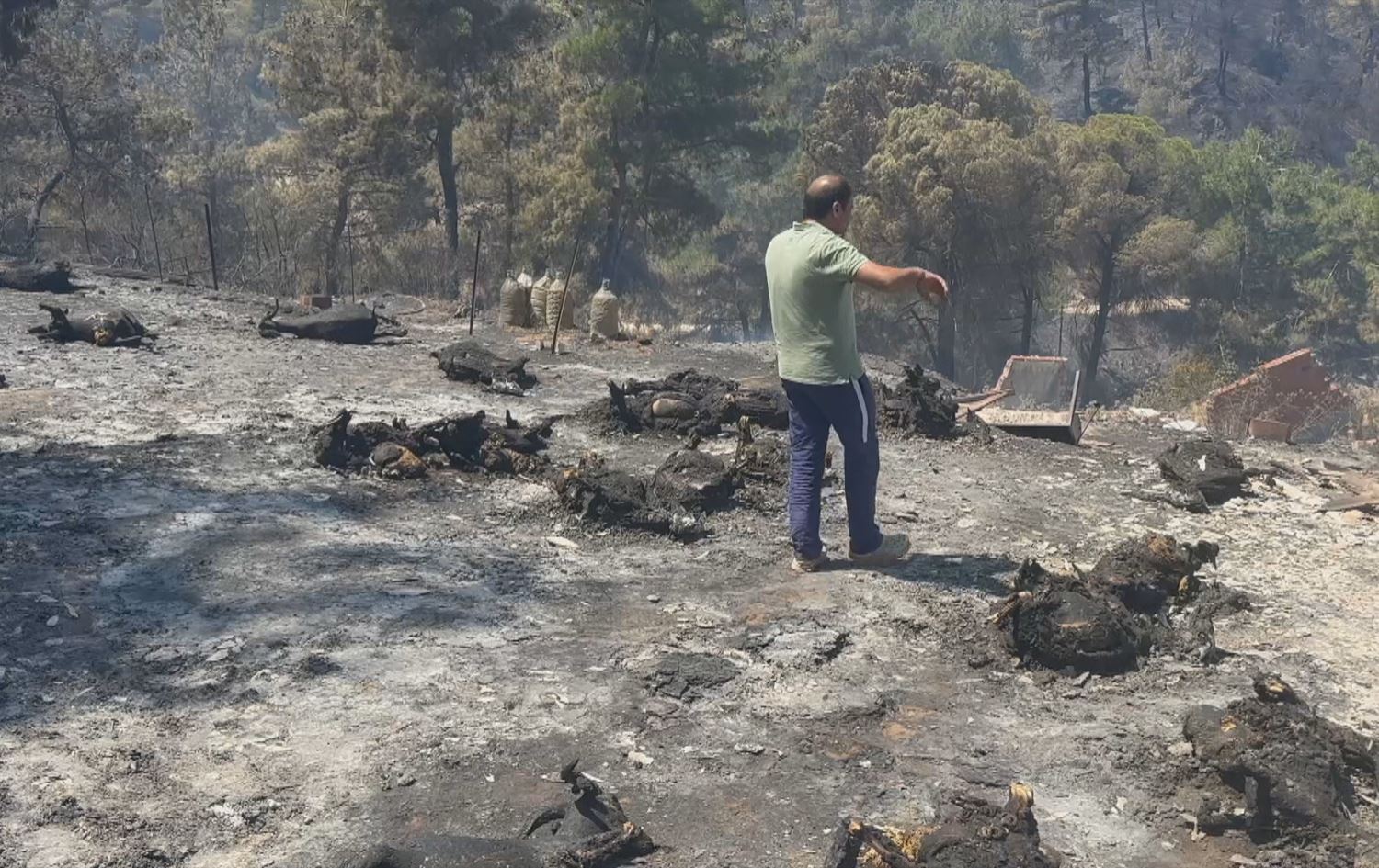 Çanakkale - Şewatê keda 20 salan a malbata Kurd kir qirik