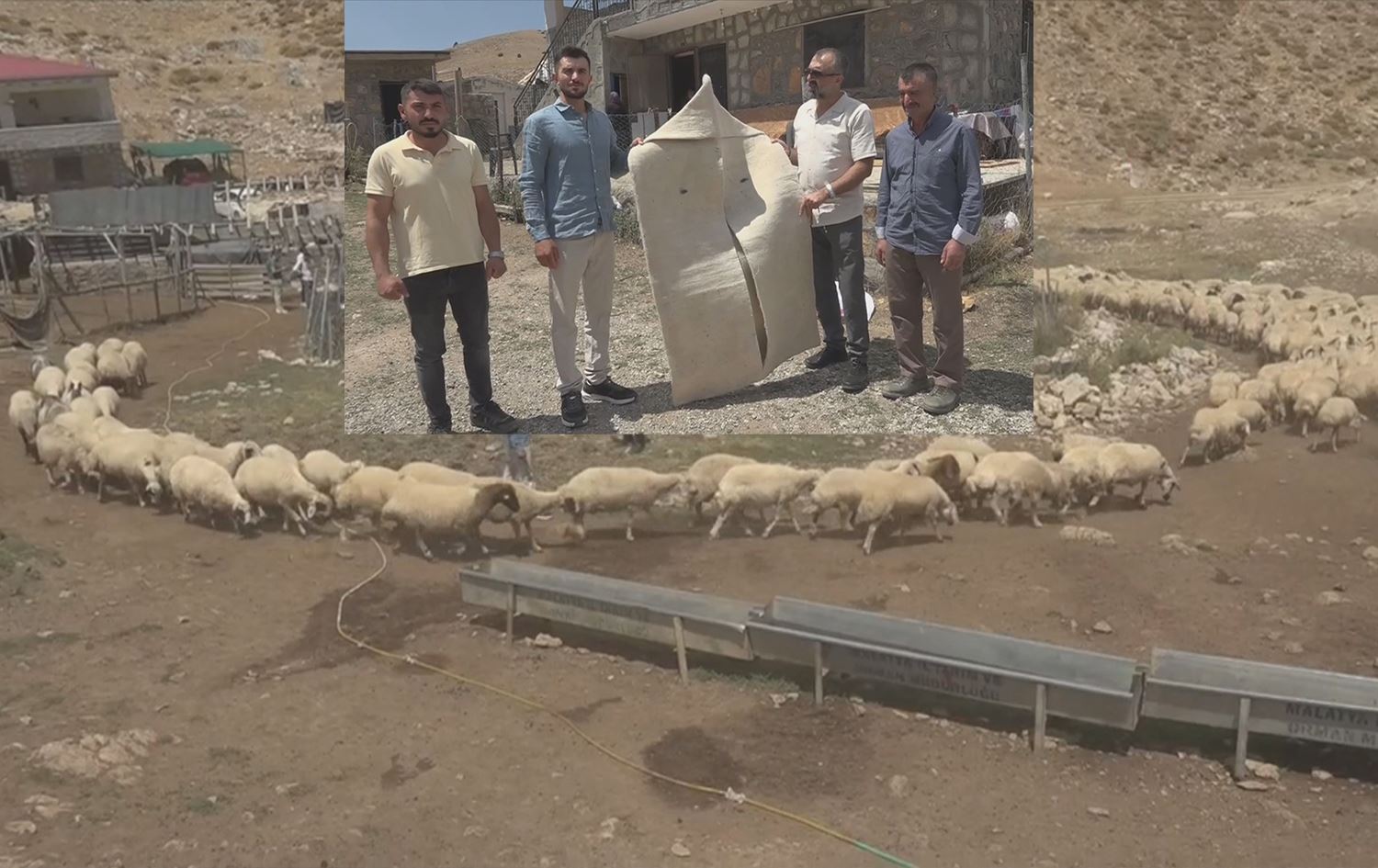 Ajeldar /Wêne:Ji vîdeoyê