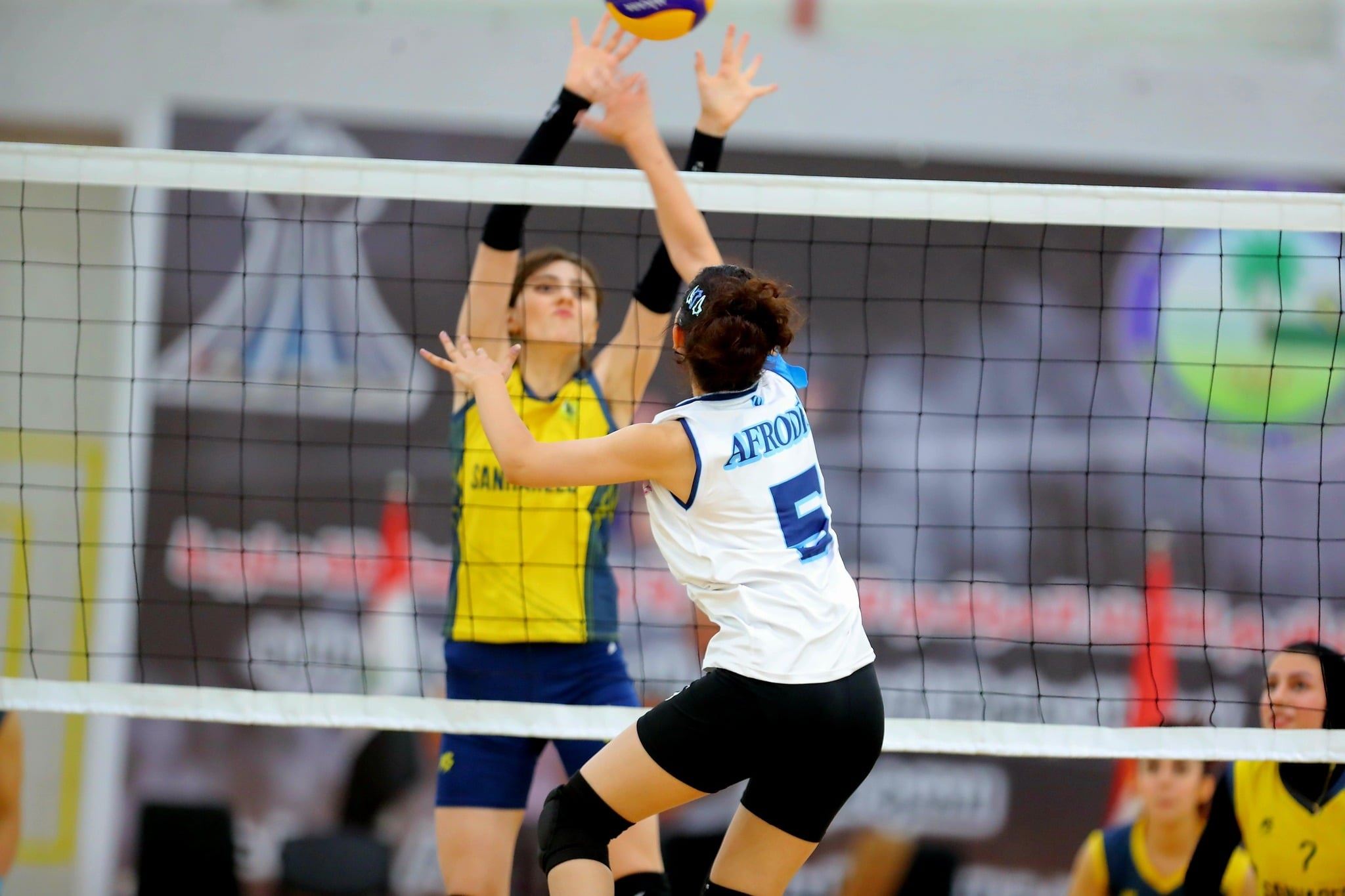 هەولێر میوانداریی خولی بالەی خانمانی عێراق دەکات