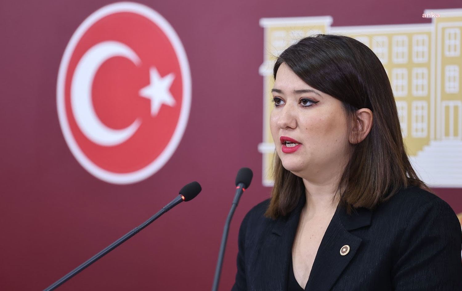 CHP Genel Başkan Yardımcısı Gökçe Gökçen açıklama yaptı. / Foto: ANKA