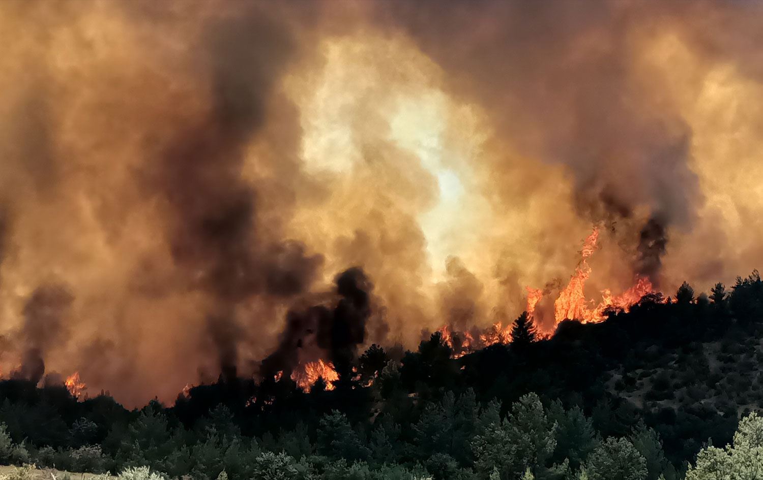 Agirê li Mêrsînê / Wêne: AA