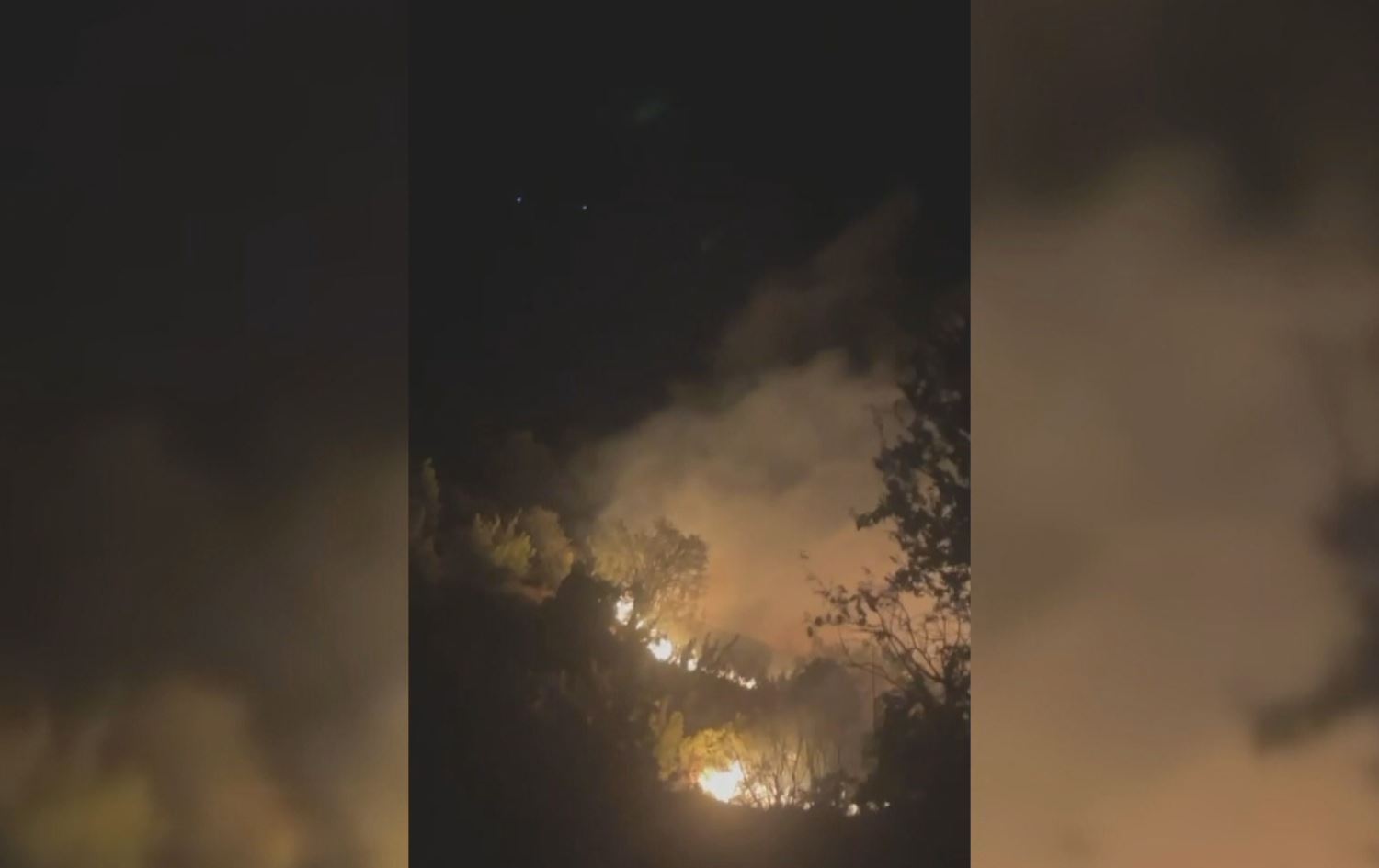 Şewata daristanê ya li Licê /Wêne: Ji vîdoyê