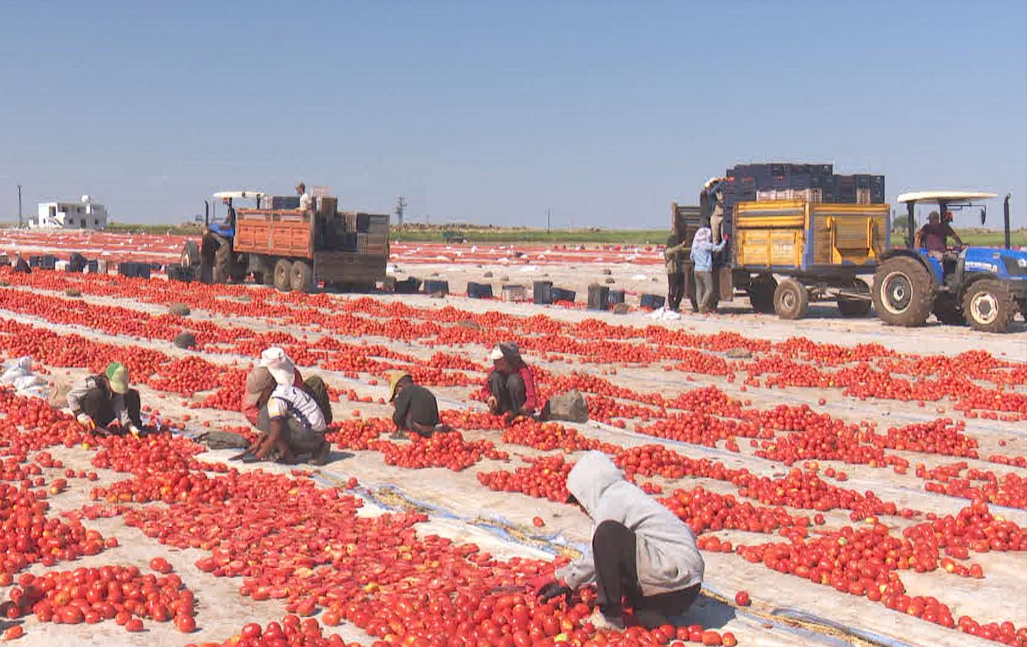 Kameraman\ Cuma Kiliç - Rûdaw