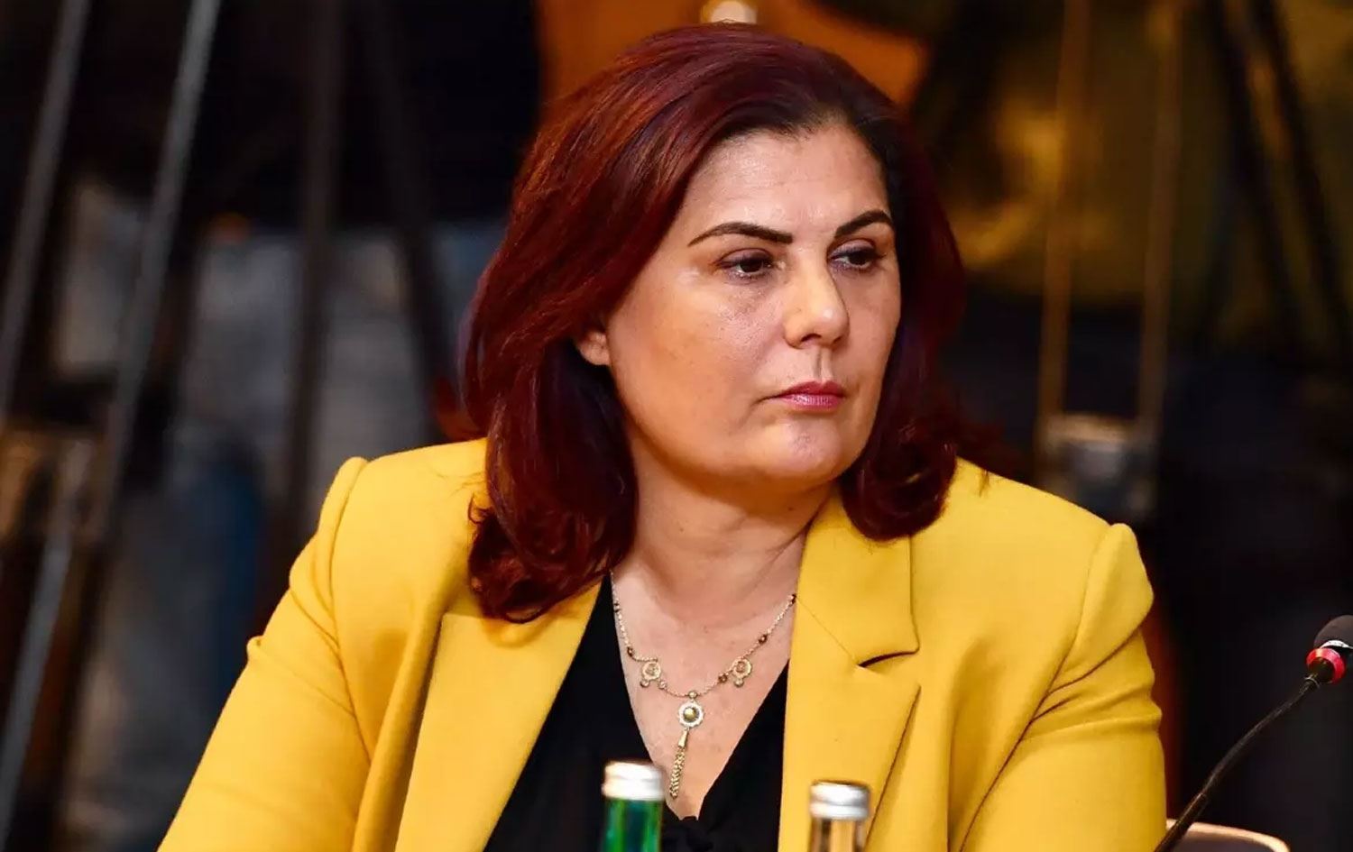 Aydın Büyükşehir Belediye Başkanı Özlem Çerçioğlu