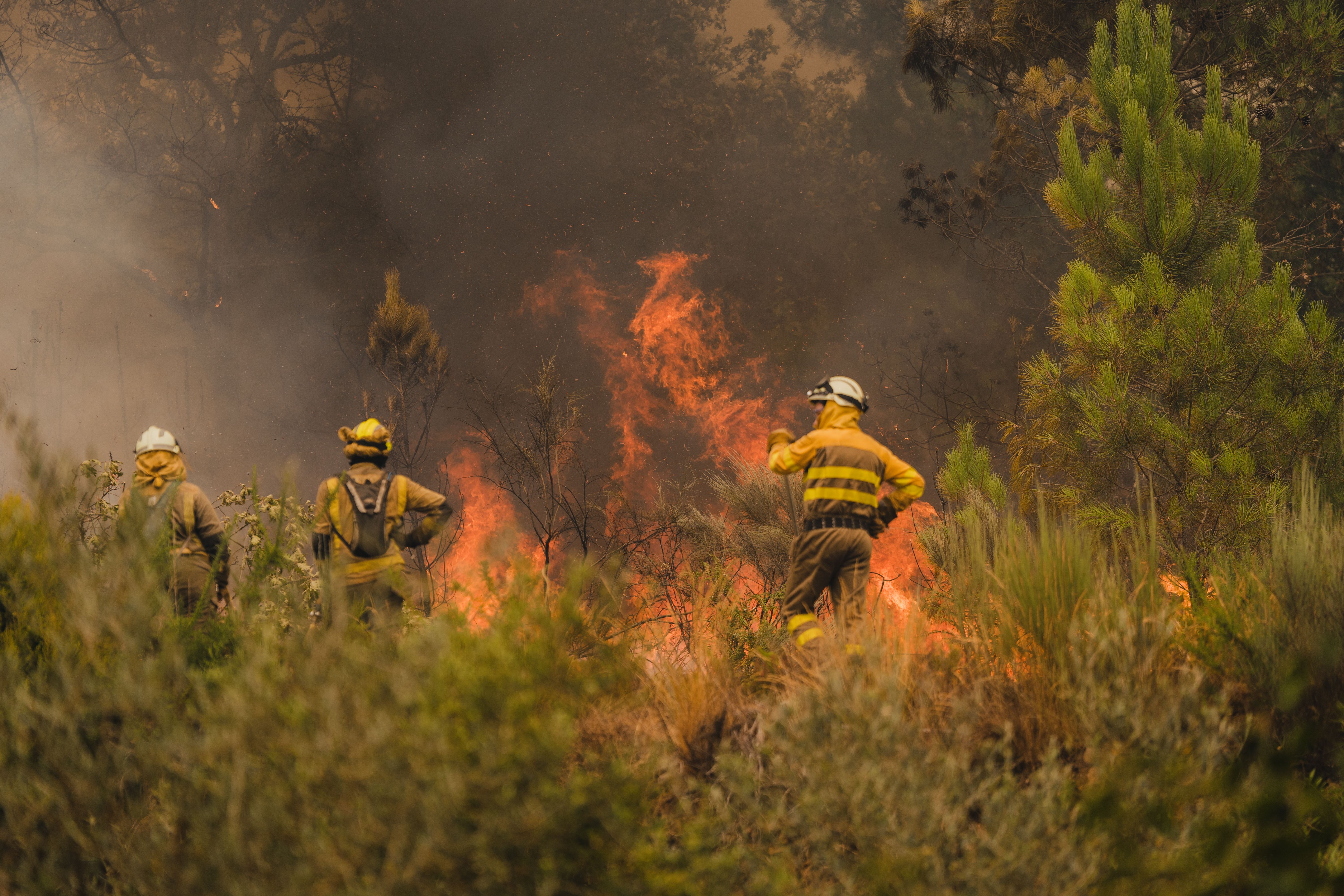 سێ هەفتەیە دارستانەکانی ئیسپانیا دەسووتێن