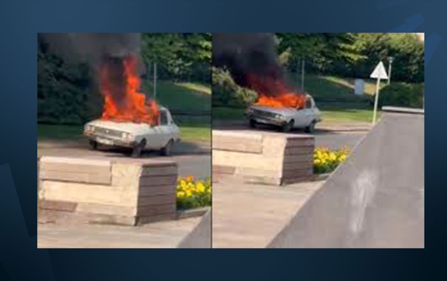 Toroseke spî hat şewitandin / Wêne: Ji ber dîmenan