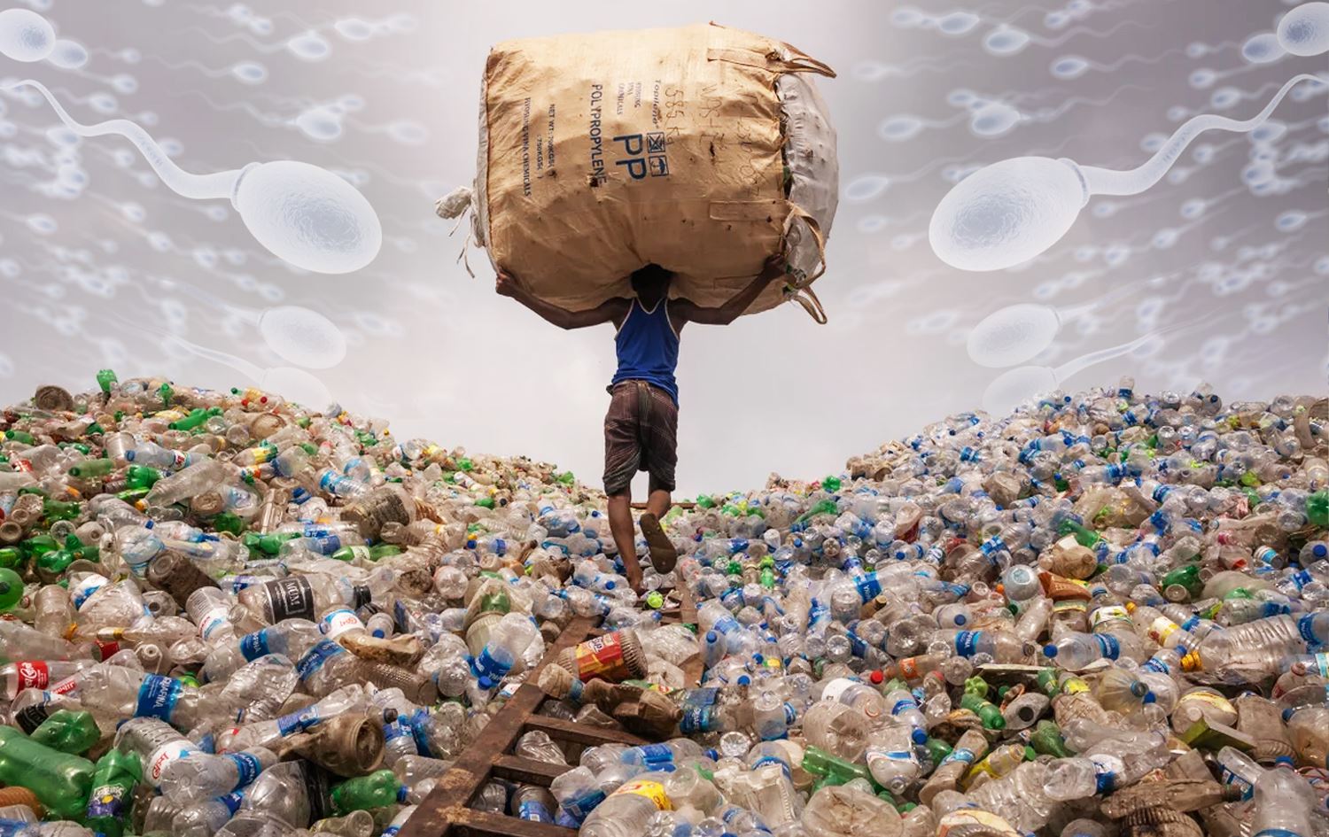 توێژینەوەیەکی شیکاری؛ بەهۆی زۆربەکارهێنانی پلاستیکەوە، وەچەخستنەوە کەمبووەتەوە