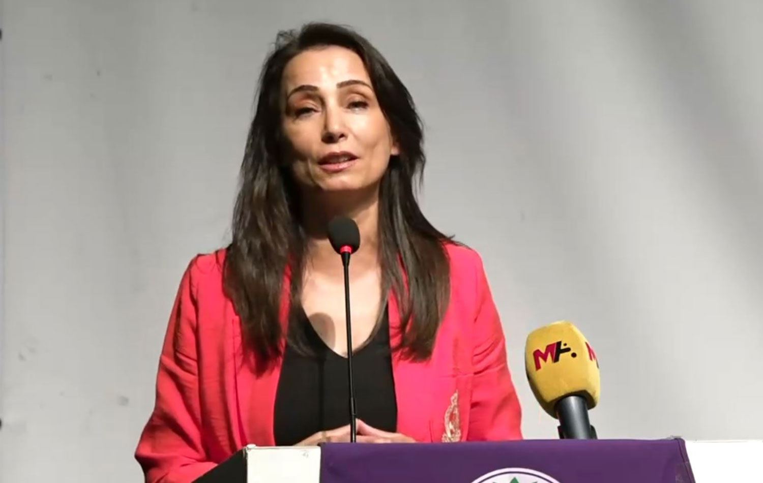 DEM Parti Eş Genel Başkanı Tülay Hatimoğulları Adana'da konuştu.