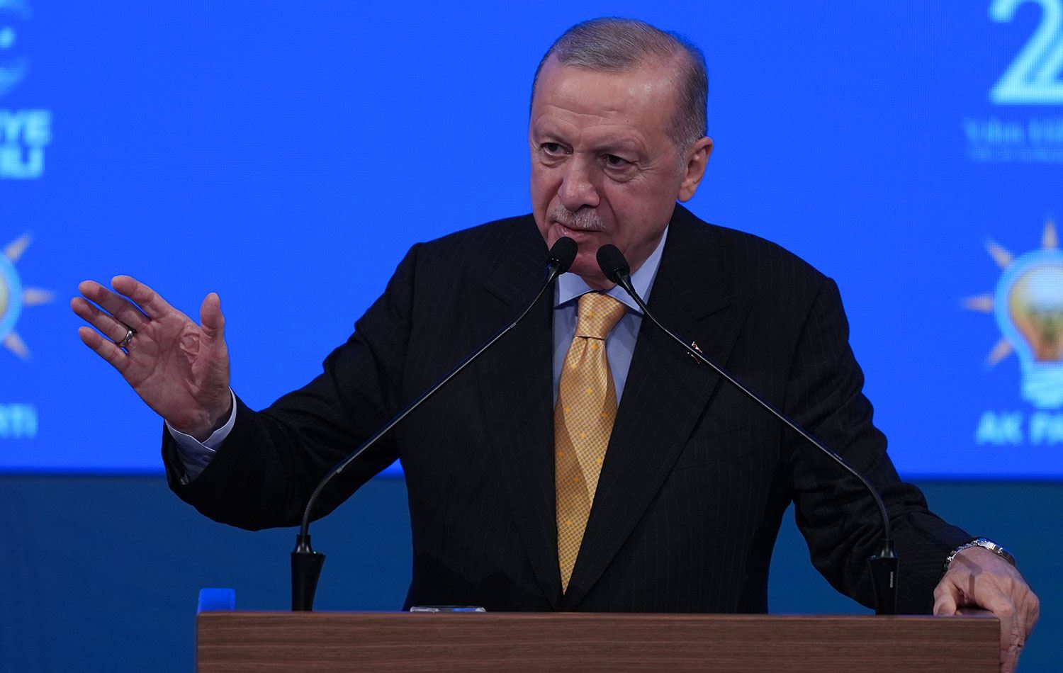 Türkiye Cumhurbaşkanı Recep Tayyip Erdoğan / Foto: AA