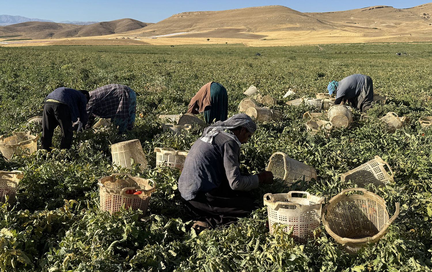 Karker dixebitin / Wêne: AA