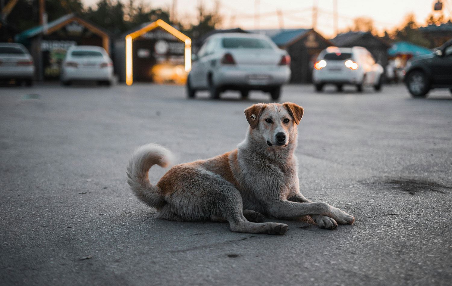 Foto: Arşiv / www.pexels.com