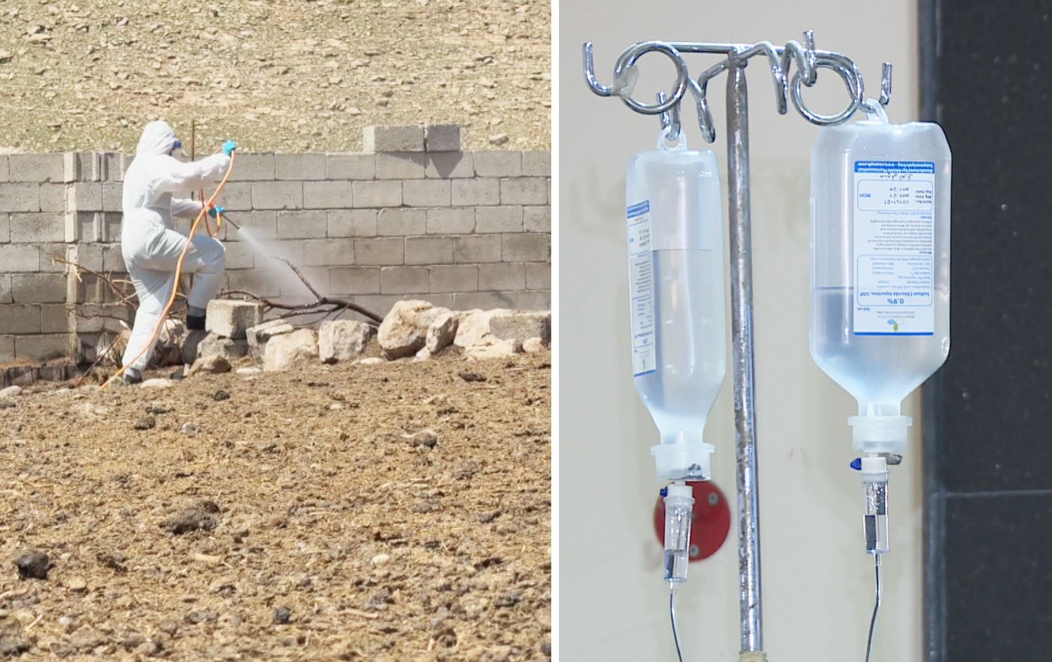 خۆپاراستنی دهۆک: دوای جەژن چەندان گومانلێکراو و تووشبووی تای خوێنەربوون هەبوون