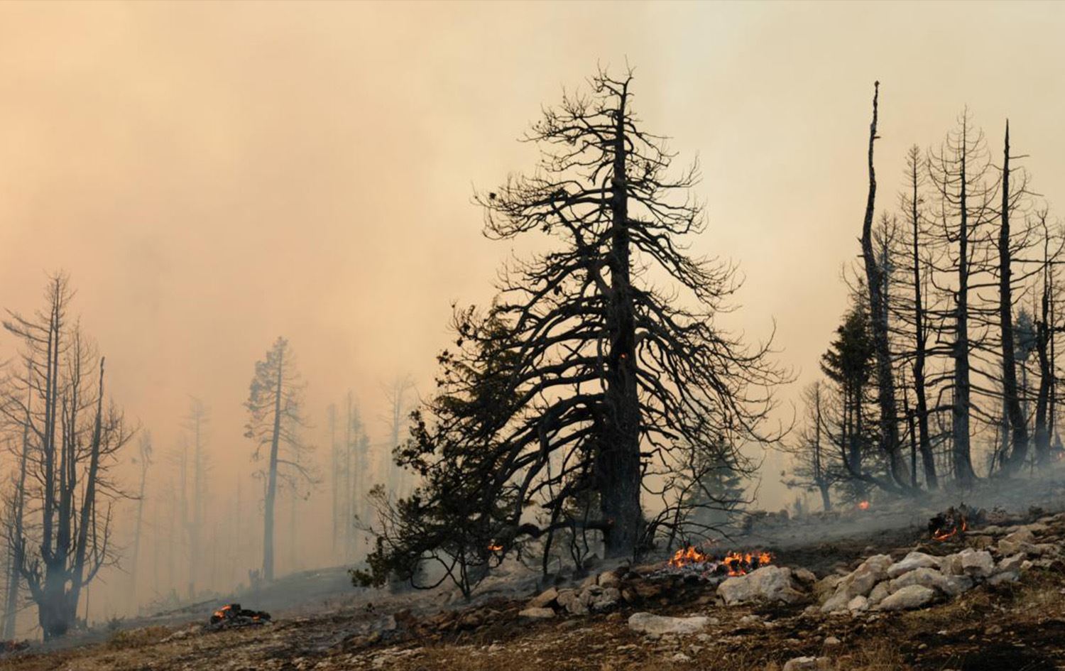  Avrupa Birliği kayıtlardaki en kötü yangın sezonuyla karşı karşıya