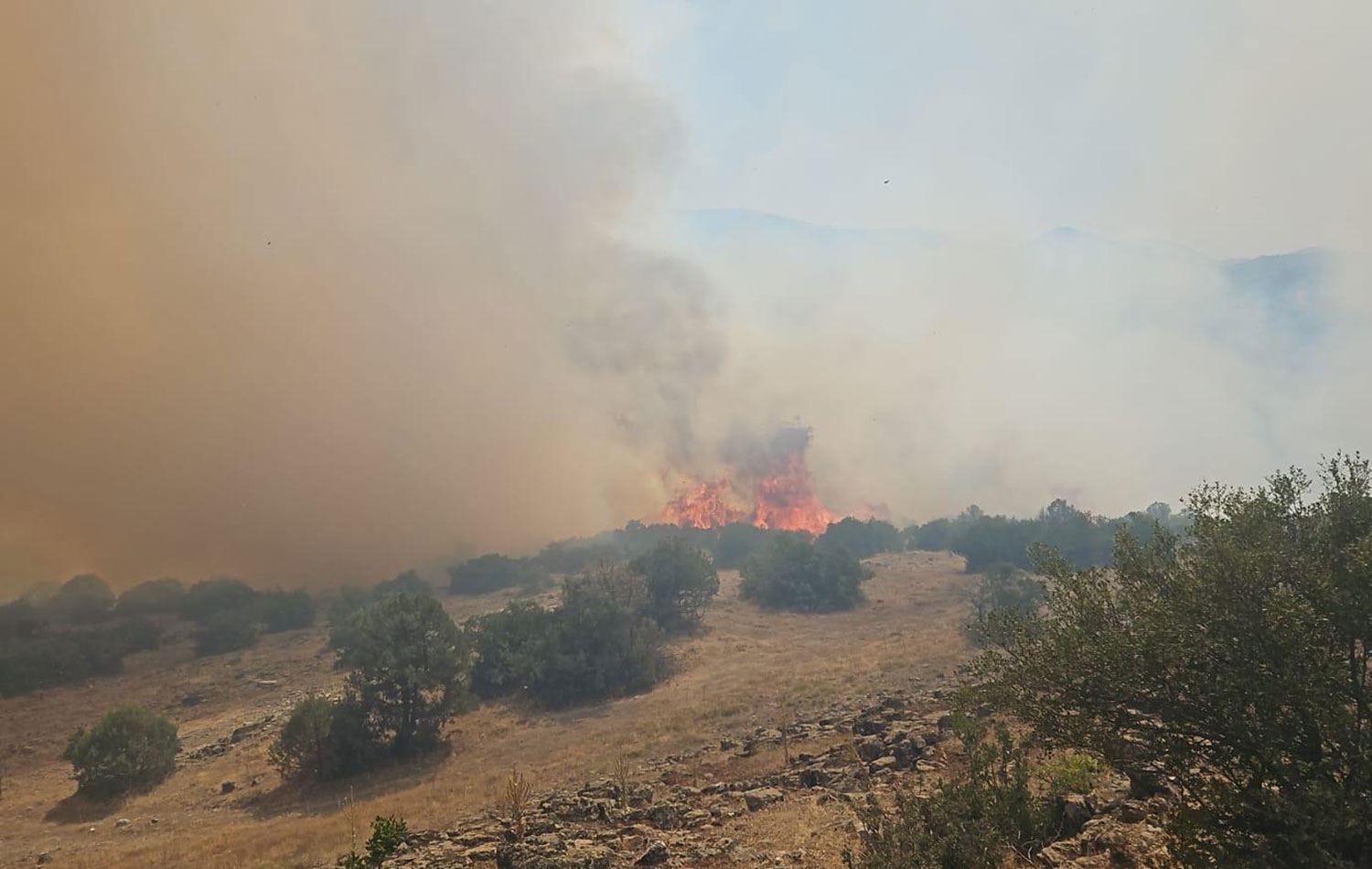 Yangına müdahale ediliyor. / AA