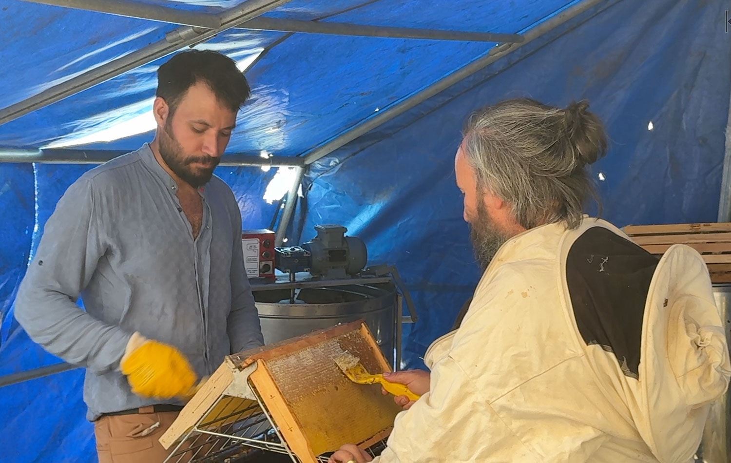 Li Dêrsimê dem dema hingiv e, sal ziwa ye lê çiya bi xêr û bêr in